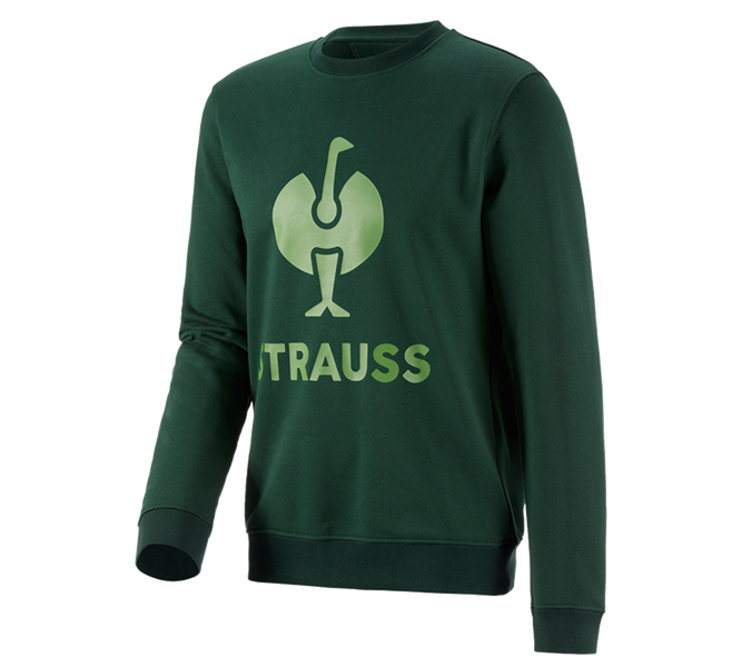 Vue principale, Hommes, Sweatshirt e.s.motion 2020, vert/vert d'eau