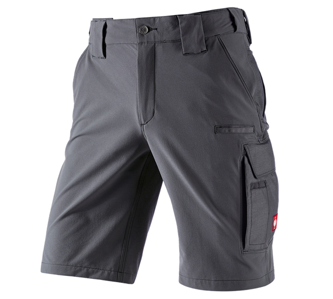 Funktions Short e.s.dynashield solid