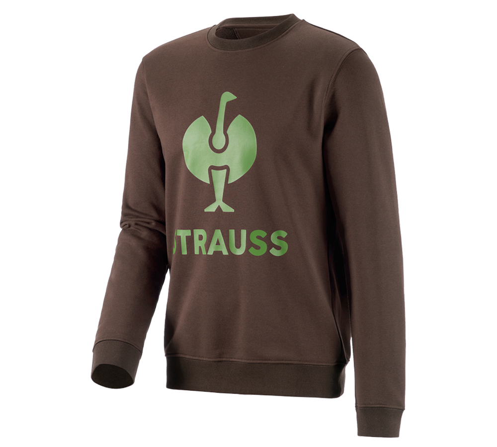 Shirts & Co.: Sweatshirt e.s.motion 2020 + kastanie/seegrün
