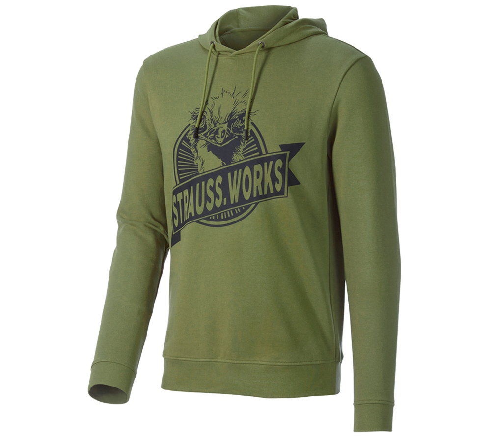 Bovenkleding: Hoody-Sweatshirt e.s.iconic works + berggroen