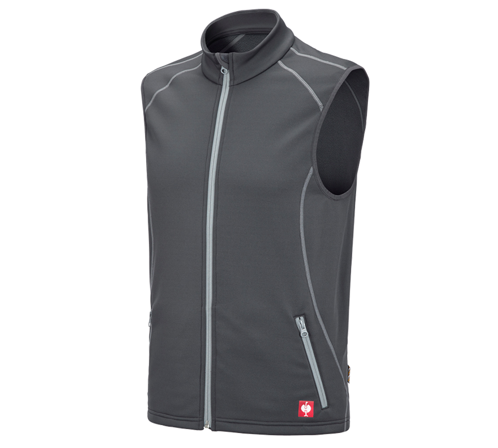Loodgieter / Installateurs: Function bodywarmer thermostretch e.s.motion 2020 + antraciet/platina