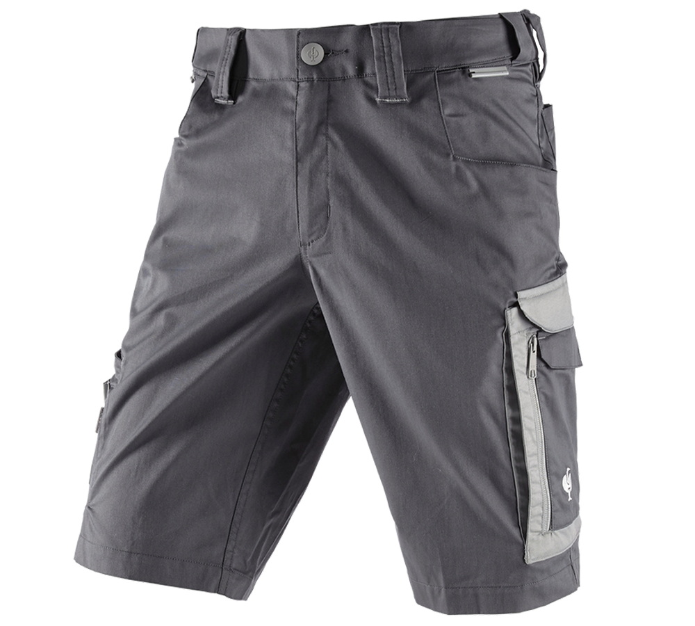 Pantalons de travail: Short e.s.concrete light + anthracite/gris perle