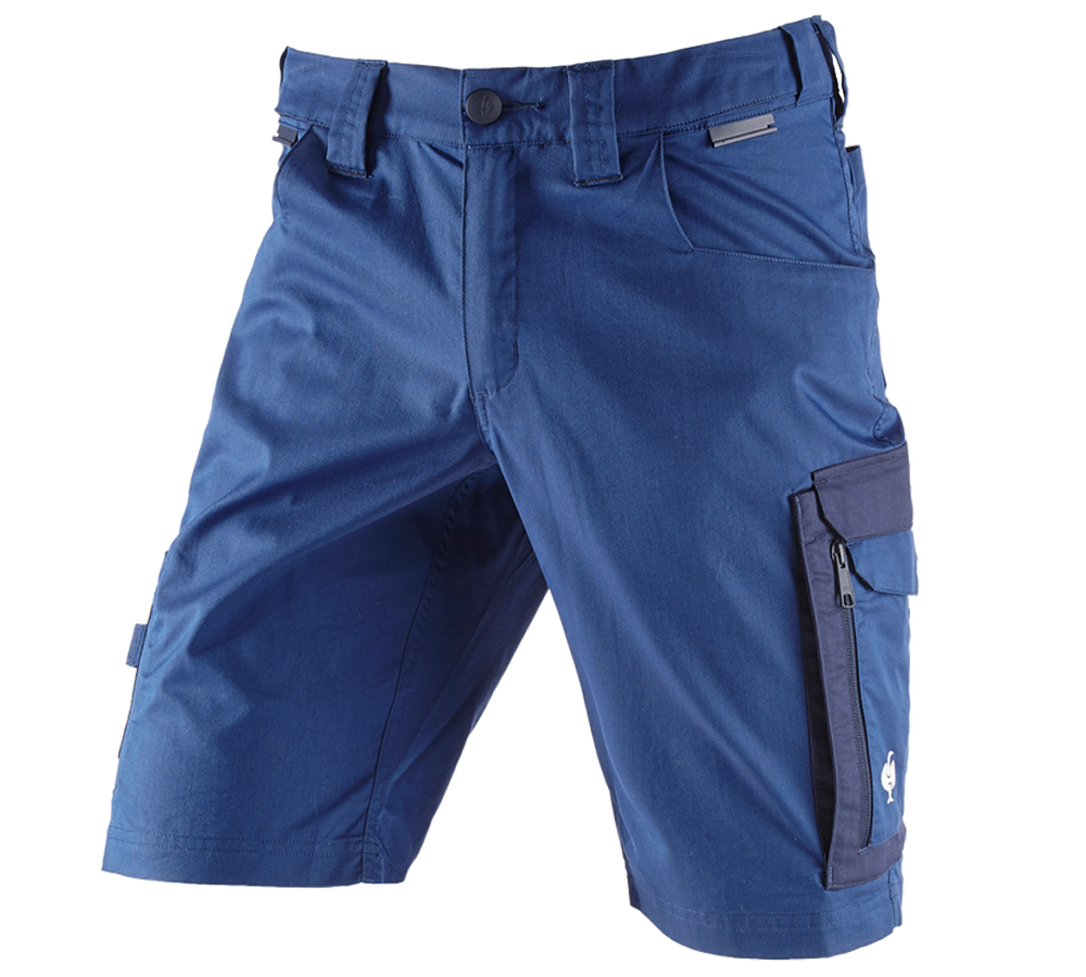 Pantalons de travail: Short e.s.concrete light + bleu alcalin/bleu profond