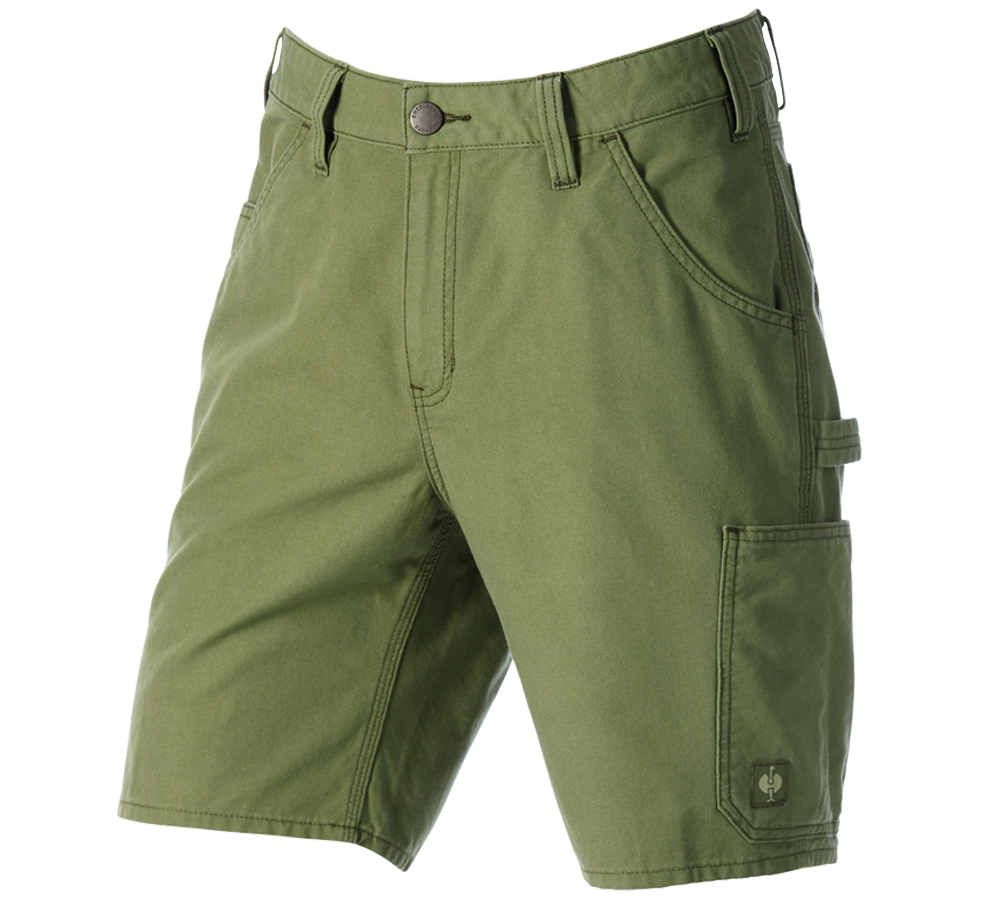 Vêtements: Short e.s.iconic + vert montagne