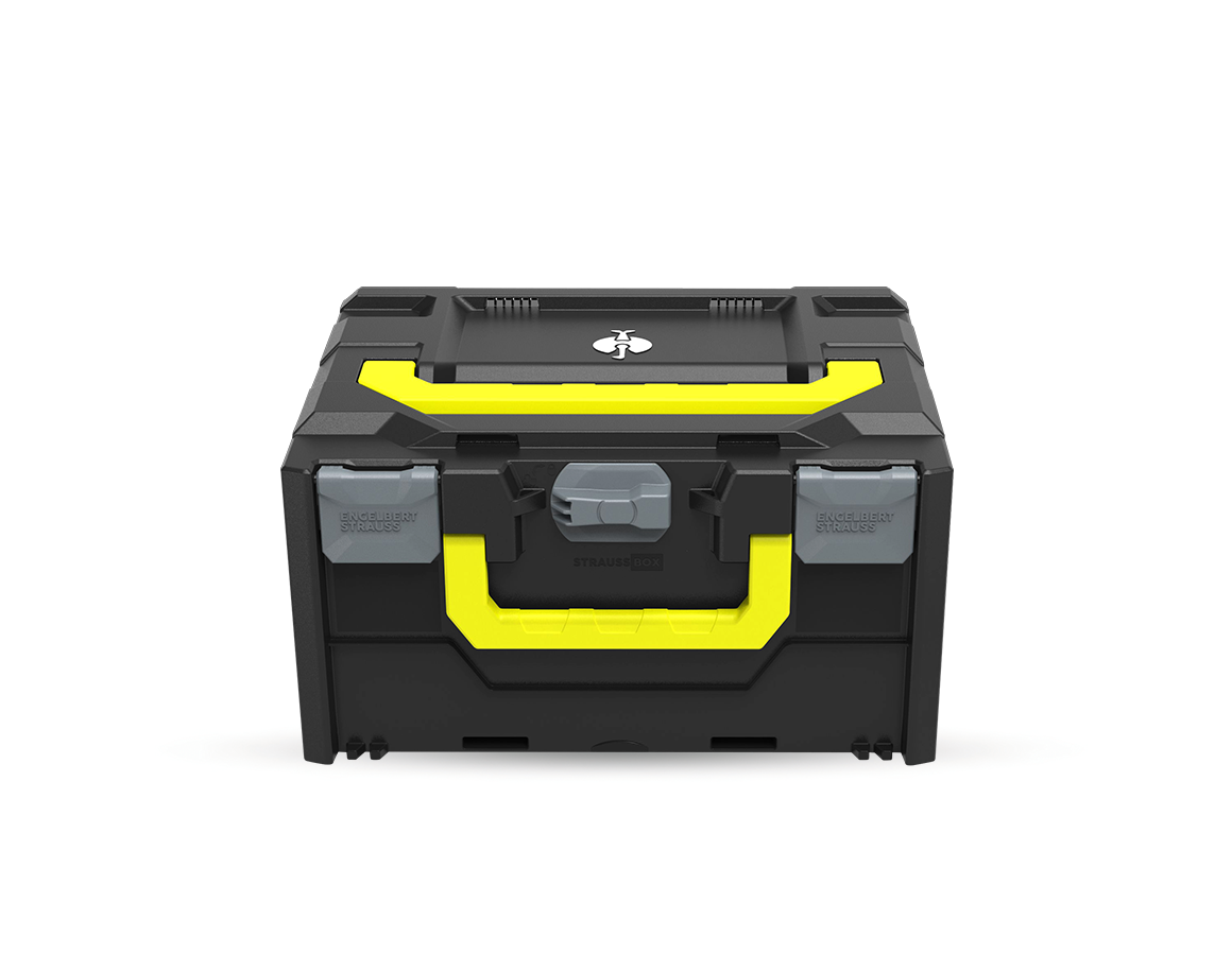 Système STRAUSSbox: STRAUSSbox 215 midi Color + anthracite