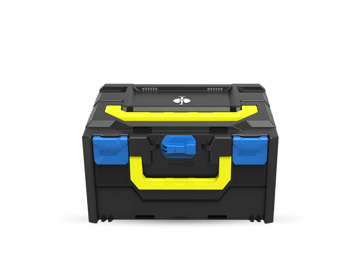 Système STRAUSSbox: STRAUSSbox 215 midi Color + bleu gentiane