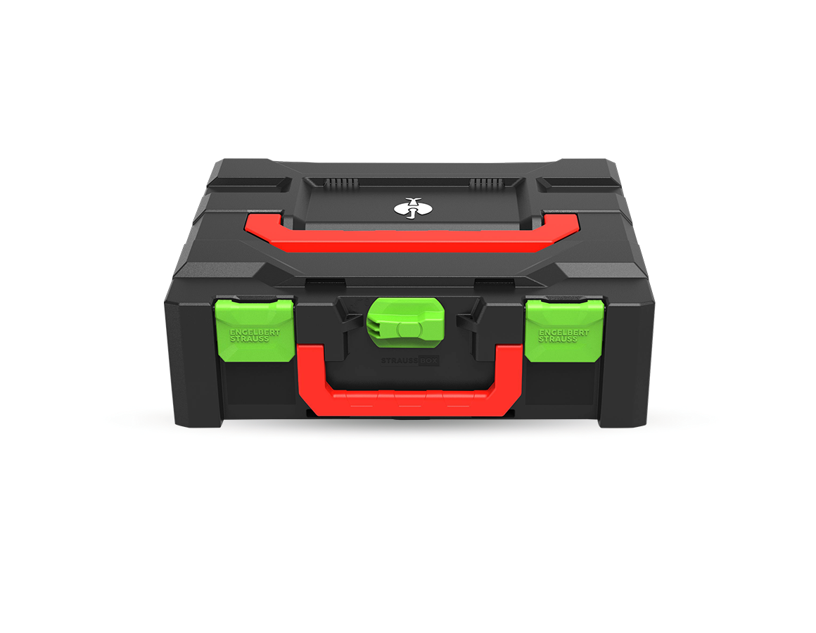 STRAUSSbox System: STRAUSSbox 145 midi+ Color + seegrün