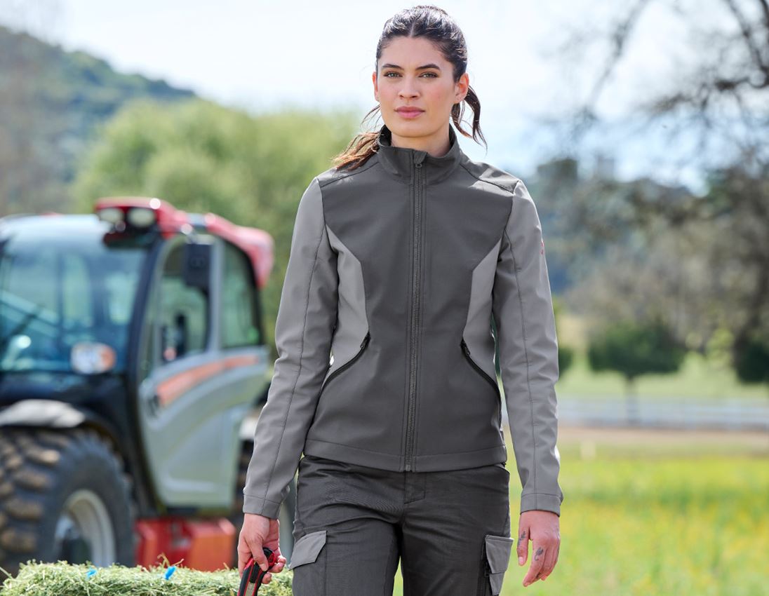 Vestes de travail: Veste Softshell e.s.trail pure, femmes + gris carbone/gris basalte