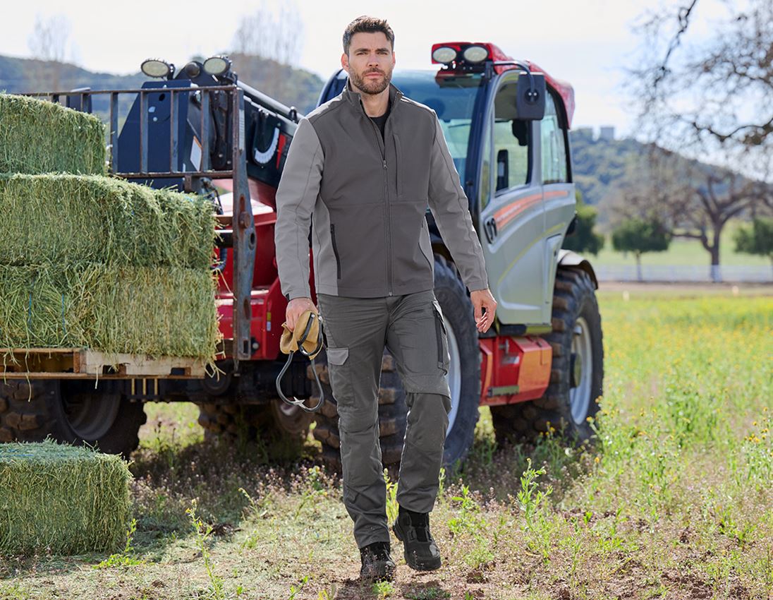 Pantalons de travail: Pantalon à taille élastique e.s.trail pure + gris carbone/gris basalte 3