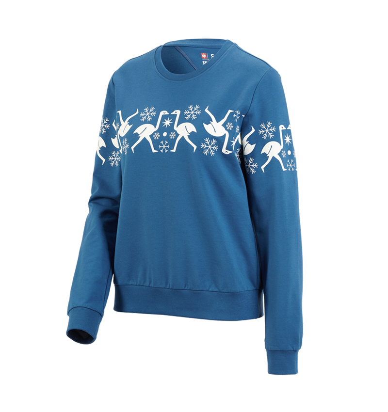Accessoires: e.s. Noors sweatshirt, dames + baltisch blauw 2
