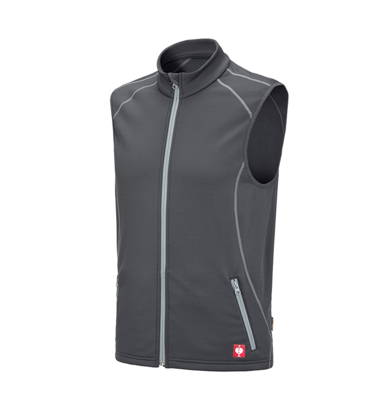 Loodgieter / Installateurs: Function bodywarmer thermostretch e.s.motion 2020 + antraciet/platina 2
