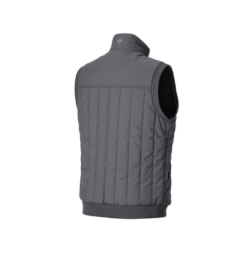 Onderwerpen: Bodywarmer e.s.iconic + carbongrijs 6