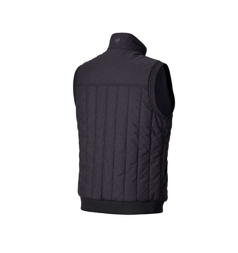 Onderwerpen: Bodywarmer e.s.iconic + zwart 5