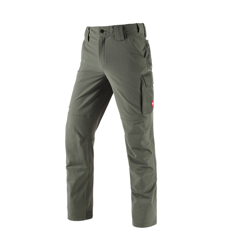 Pantalons de travail: Pantalon cargo fonctionnel e.s.dynashield solid + thym 2