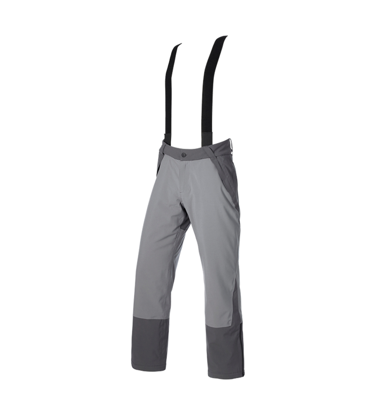 Pantalons de travail: Pantalon de fonction e.s.trail snow + gris carbone/gris basalte 5