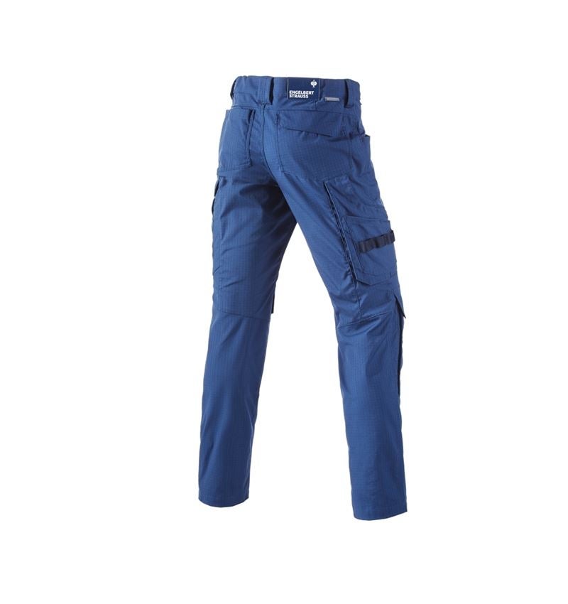Thèmes: Pantalon à taille élastique e.s.concrete solid + bleu alcalin 3