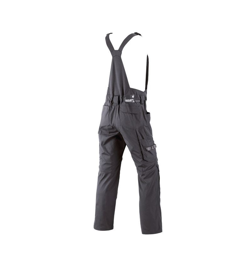 Pantalons de travail: Salopette e.s.concrete solid + anthracite 3