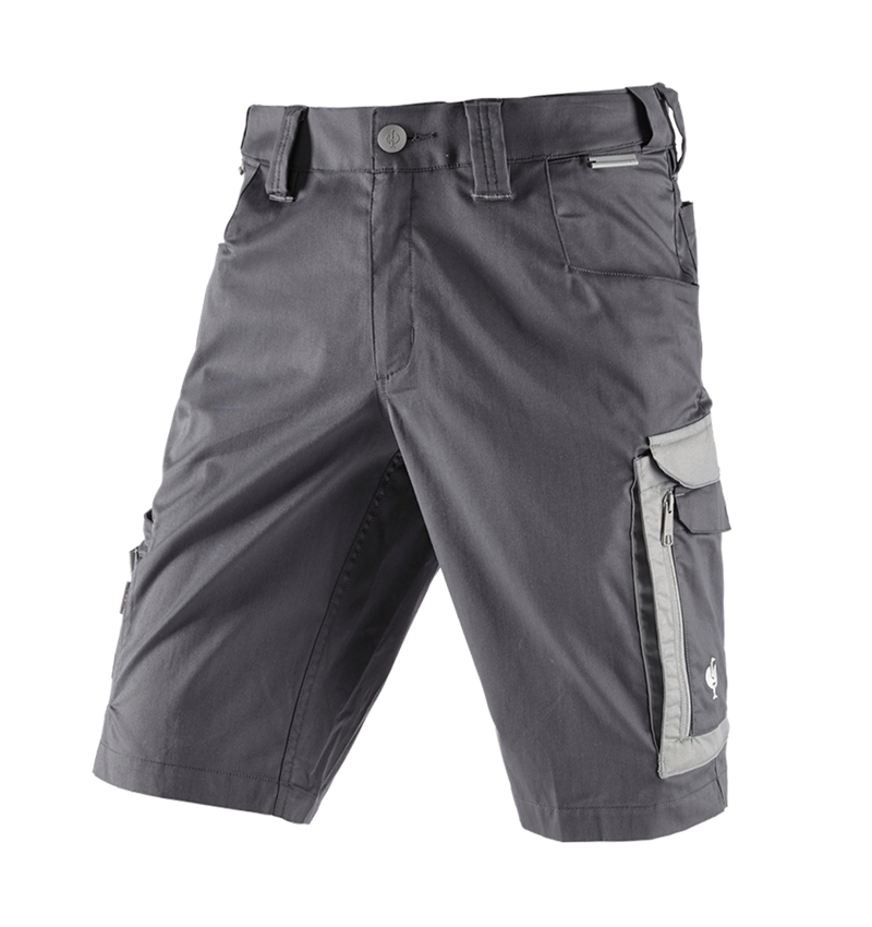 Pantalons de travail: Short e.s.concrete light + anthracite/gris perle 3