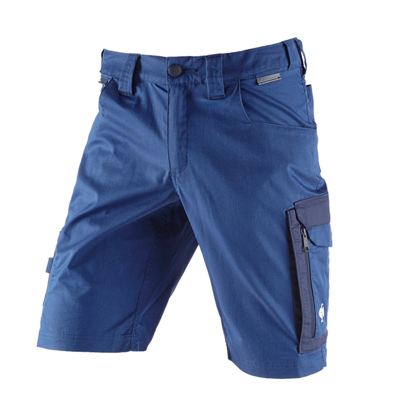 Pantalons de travail: Short e.s.concrete light + bleu alcalin/bleu profond 3