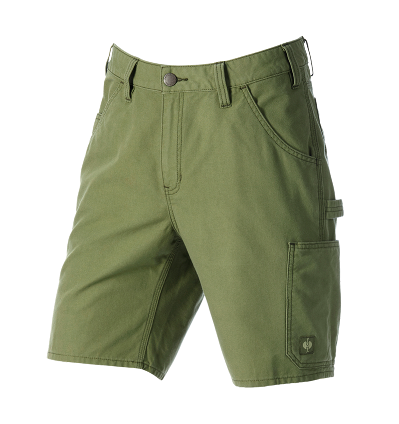 Pantalons de travail: Short e.s.iconic + vert montagne 6